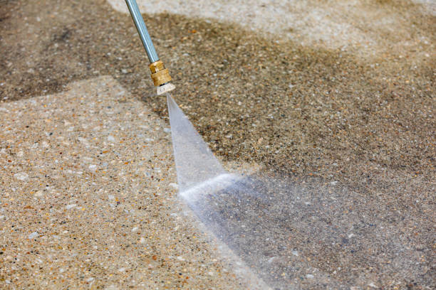 Best Pre-Holiday Cleaning  in Live Oak, FL